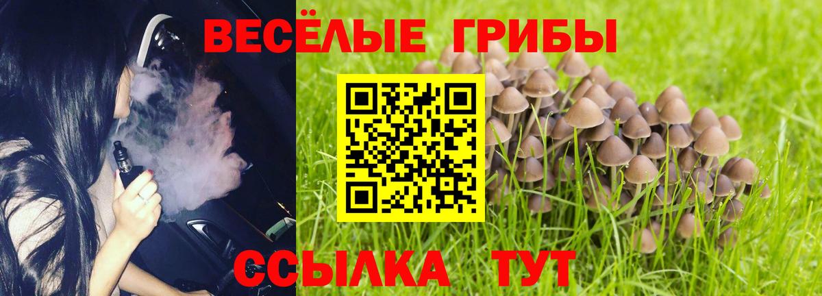 Псилоцибиновые грибы GOLDEN TEACHER Серпухов