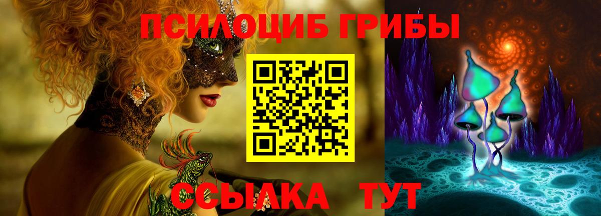 Псилоцибиновые грибы Psilocybine cubensis  купить закладку  Серпухов  Вход с VPN 